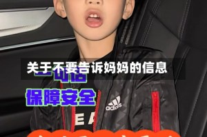 关于不要告诉妈妈的信息