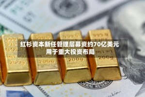 红杉资本新任管理层募资约70亿美元 用于重大投资布局