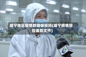 咸宁地区疫情数据破损吗(咸宁疫情防控最新文件)