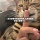 【北京疫情地区调侃图片,北京疫情的微信头像图片】