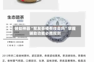 辅助神器“聚友茶楼有挂是吗”掌握辅助功能必胜规则