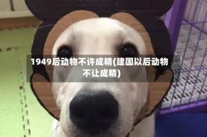 1949后动物不许成精(建国以后动物不让成精)
