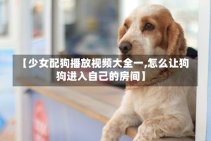 【少女配狗播放视频大全一,怎么让狗狗进入自己的房间】