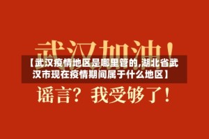 【武汉疫情地区是哪里管的,湖北省武汉市现在疫情期间属于什么地区】