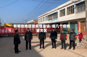 有哪些地区是疫情重镇/哪几个疫情重灾区