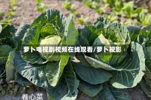 萝卜电视剧视频在线观看/萝卜视影