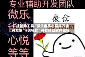 开挂辅助工具“微乐麻将小程序万能开挂器”+透视挂”开挂辅助软件教程