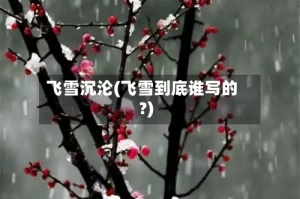 飞雪沉沦(飞雪到底谁写的?)