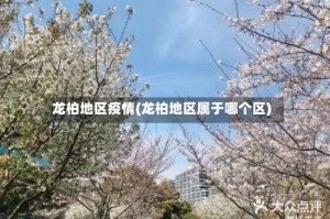 龙柏地区疫情(龙柏地区属于哪个区)