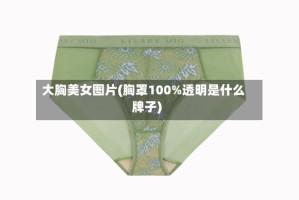 大胸美女图片(胸罩100%透明是什么牌子)
