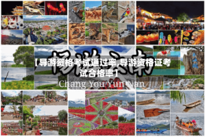 【导游资格考试通过率,导游资格证考试合格率】