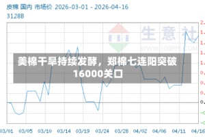 美棉干旱持续发酵，郑棉七连阳突破16000关口