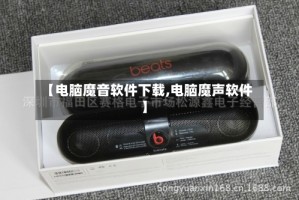 【电脑魔音软件下载,电脑魔声软件】