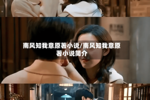 南风知我意原著小说/南风知我意原著小说简介