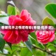 春暖花开之性吧有你(春暖 花开 吧)