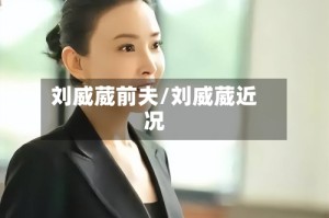 刘威葳前夫/刘威葳近况