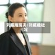 刘威葳前夫/刘威葳近况