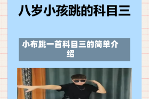 小布跳一首科目三的简单介绍