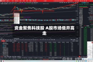 资金聚焦科技股 A股市场低开高走