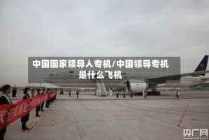 中国国家领导人专机/中国领导专机是什么飞机
