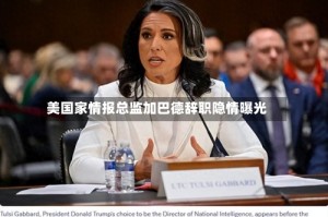 美国家情报总监加巴德辞职隐情曝光