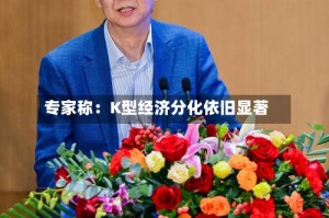 专家称：K型经济分化依旧显著