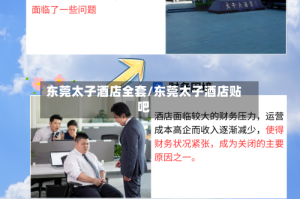 东莞太子酒店全套/东莞太子酒店贴吧