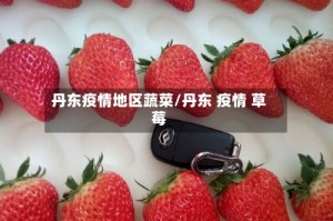 丹东疫情地区蔬菜/丹东 疫情 草莓