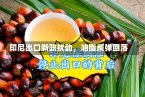 印尼出口新政扰动，油脂反弹回落