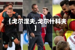 【戈尔涅夫,戈尔什科夫】