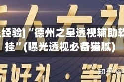 [教程经验]“德州之星透视辅助软件挂”(曝光透视必备猫腻)