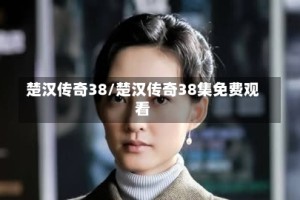 楚汉传奇38/楚汉传奇38集免费观看