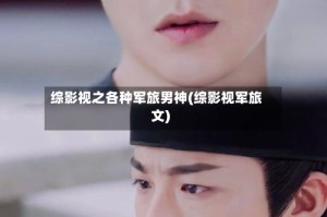 综影视之各种军旅男神(综影视军旅文)