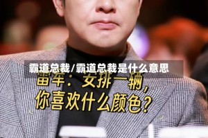 霸道总裁/霸道总裁是什么意思