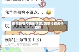 哪里没有疫情地区呢/哪里没有疫情现在