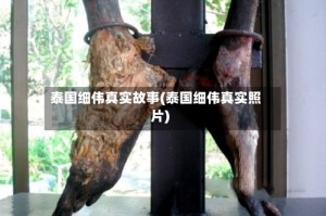 泰国细伟真实故事(泰国细伟真实照片)