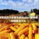 疫情地区过年要屯粮吗app/疫情期间囤粮屯什么
