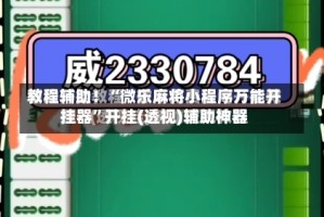 教程辅助！“微乐麻将小程序万能开挂器”开挂(透视)辅助神器