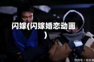 闪嫁(闪嫁婚恋动画)