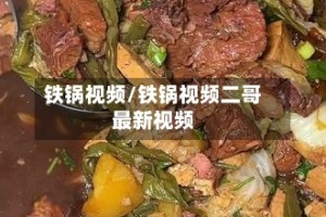 铁锅视频/铁锅视频二哥最新视频