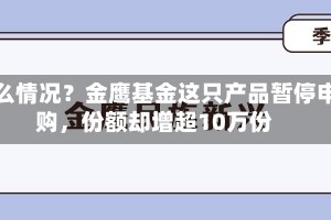 什么情况？金鹰基金这只产品暂停申购，份额却增超10万份
