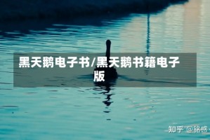 黑天鹅电子书/黑天鹅书籍电子版