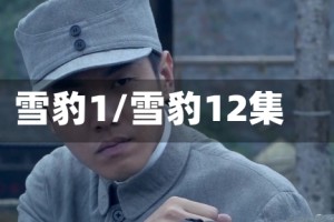 雪豹1/雪豹12集
