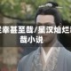 星汉灿烂幸甚至哉/星汉灿烂幸甚至哉小说