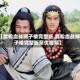 【武松血战狮子楼完整版,武松血战狮子楼完整版聚优视频】