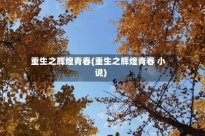 重生之辉煌青春(重生之辉煌青春 小说)