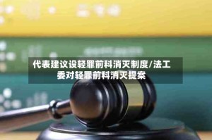 代表建议设轻罪前科消灭制度/法工委对轻罪前科消灭提案