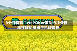 3分钟教程“WePOKer辅助透视外挂”科技辅助神器手机版教程