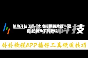 辅助开挂工具“大冶打拱辅助器”(透视挂)辅助下载教程