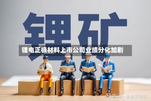 锂电正极材料上市公司业绩分化加剧